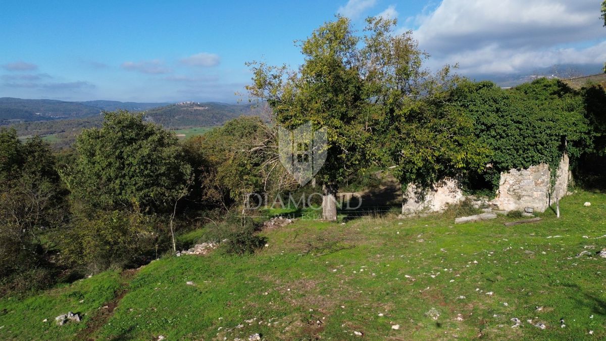BOLJUN