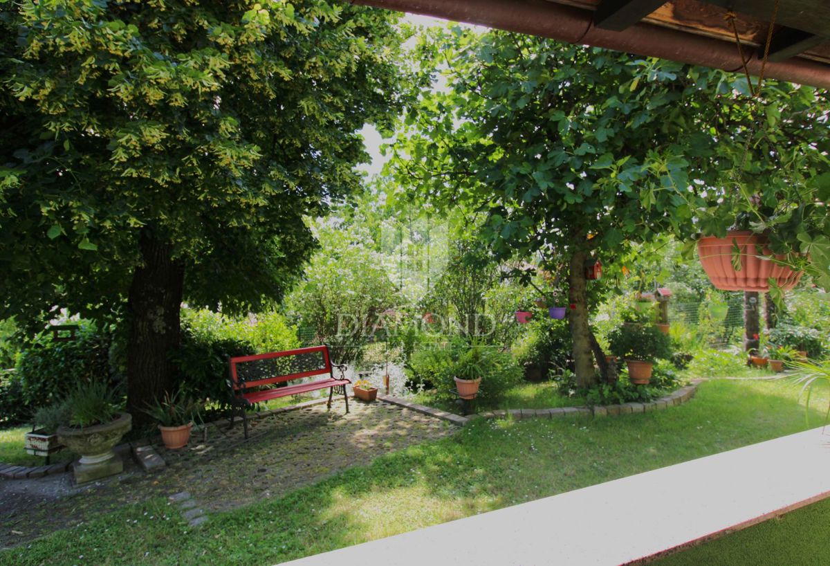 CERNIK