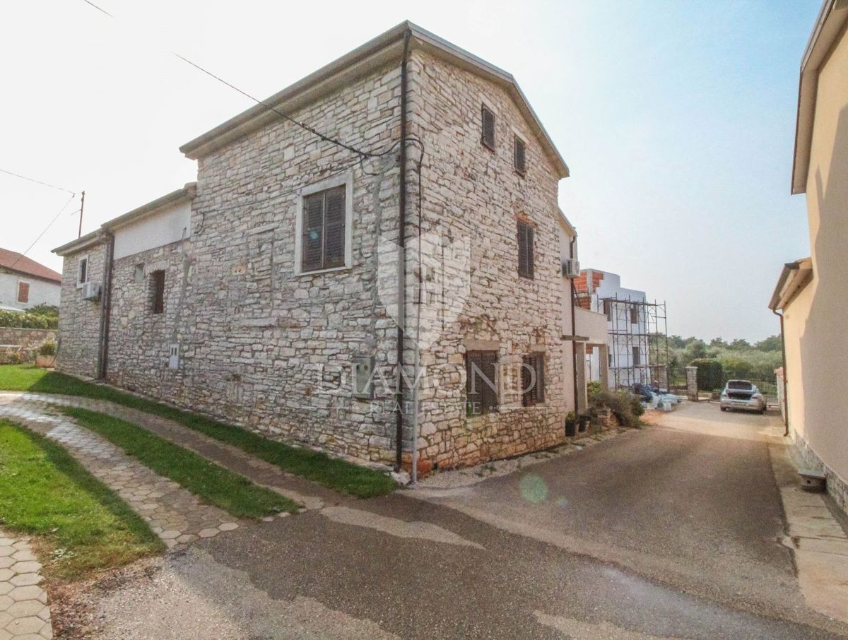 UMAG