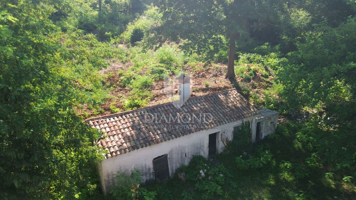 LABIN