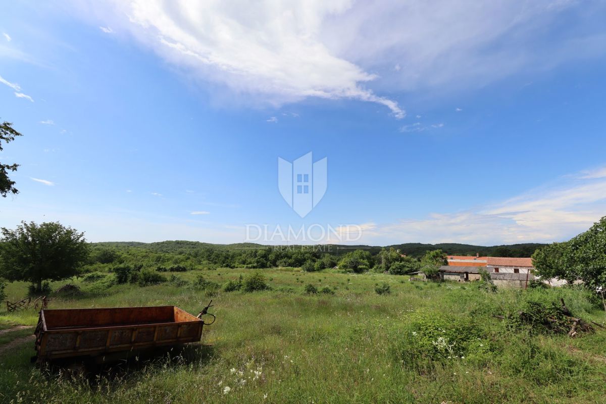 GOLAŠ