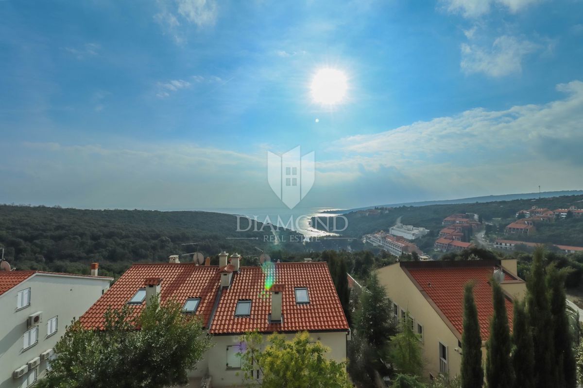 PAVIĆINI