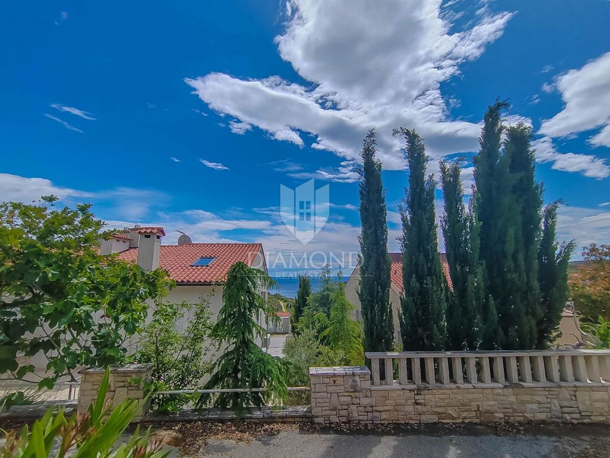PAVIĆINI