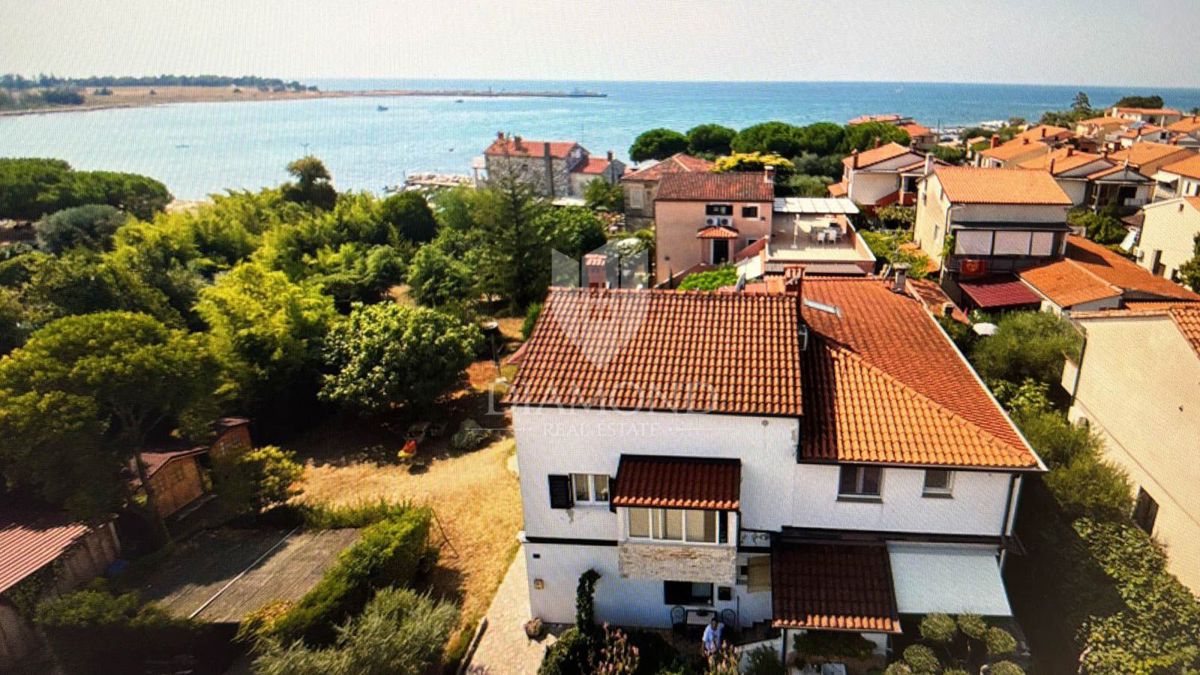 UMAG