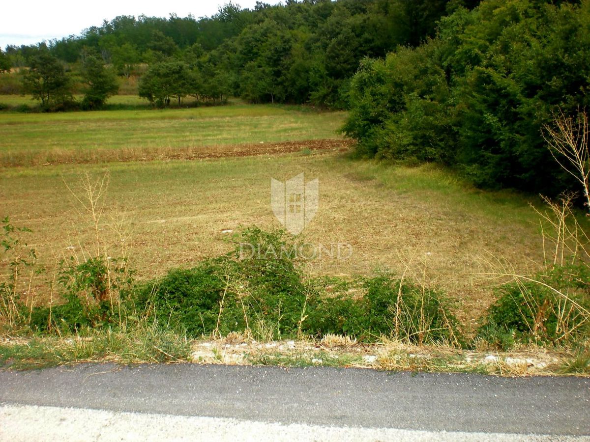 KANFANAR