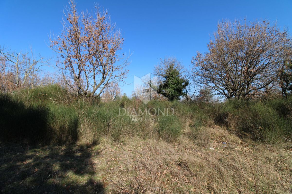 VODNJAN