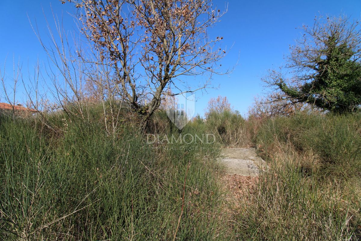 VODNJAN
