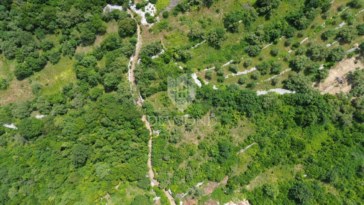 RABAC