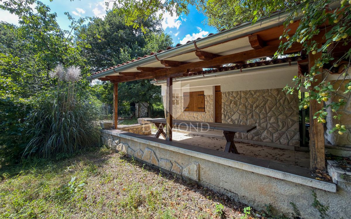 image 23