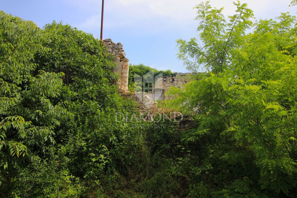 LABIN
