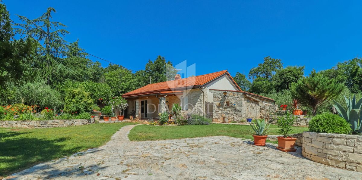 LOVREČICA