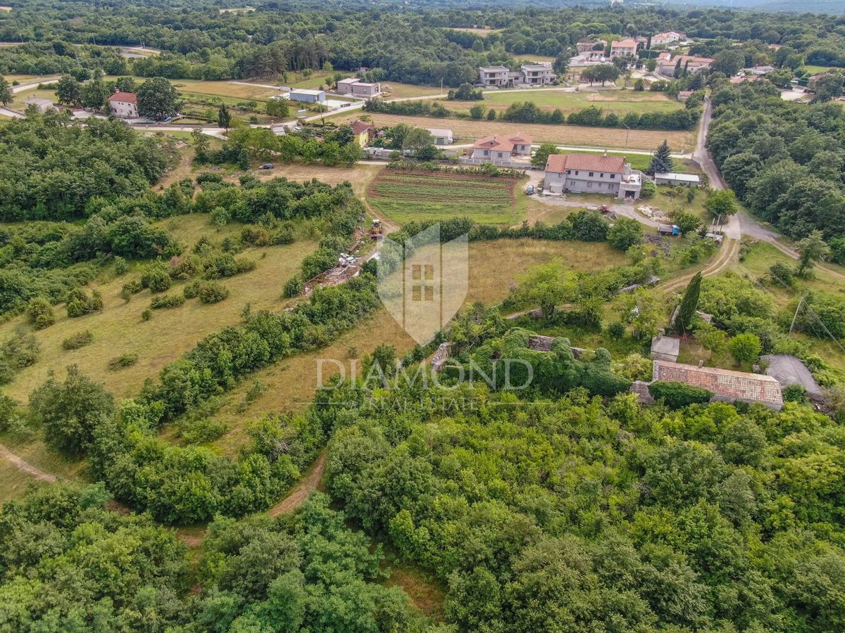 ŽMINJ