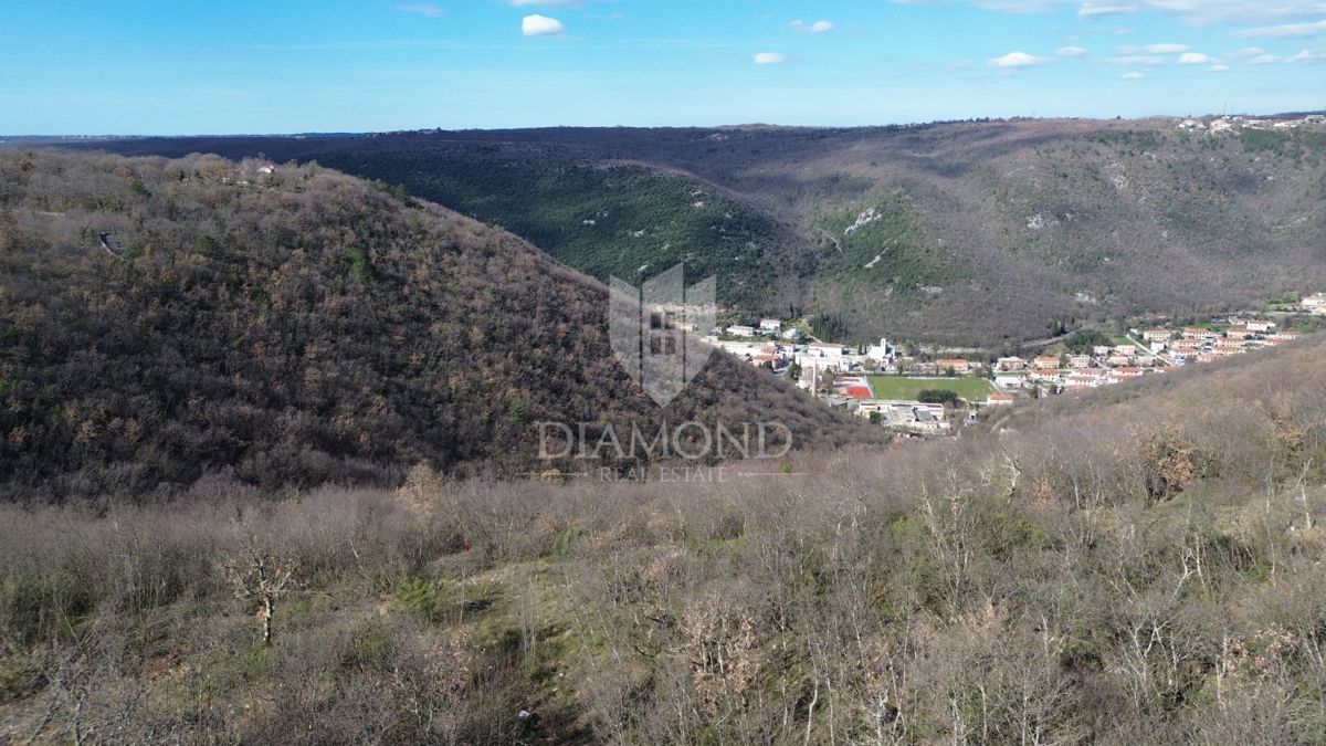 LABIN