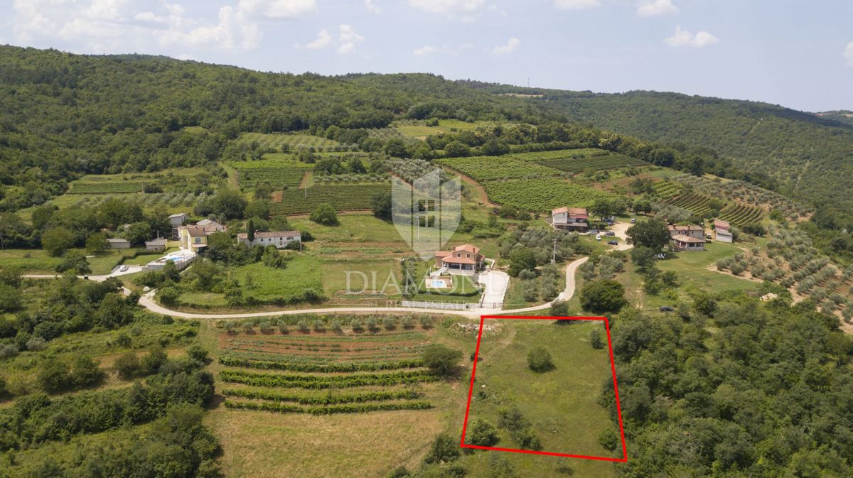 MOTOVUN
