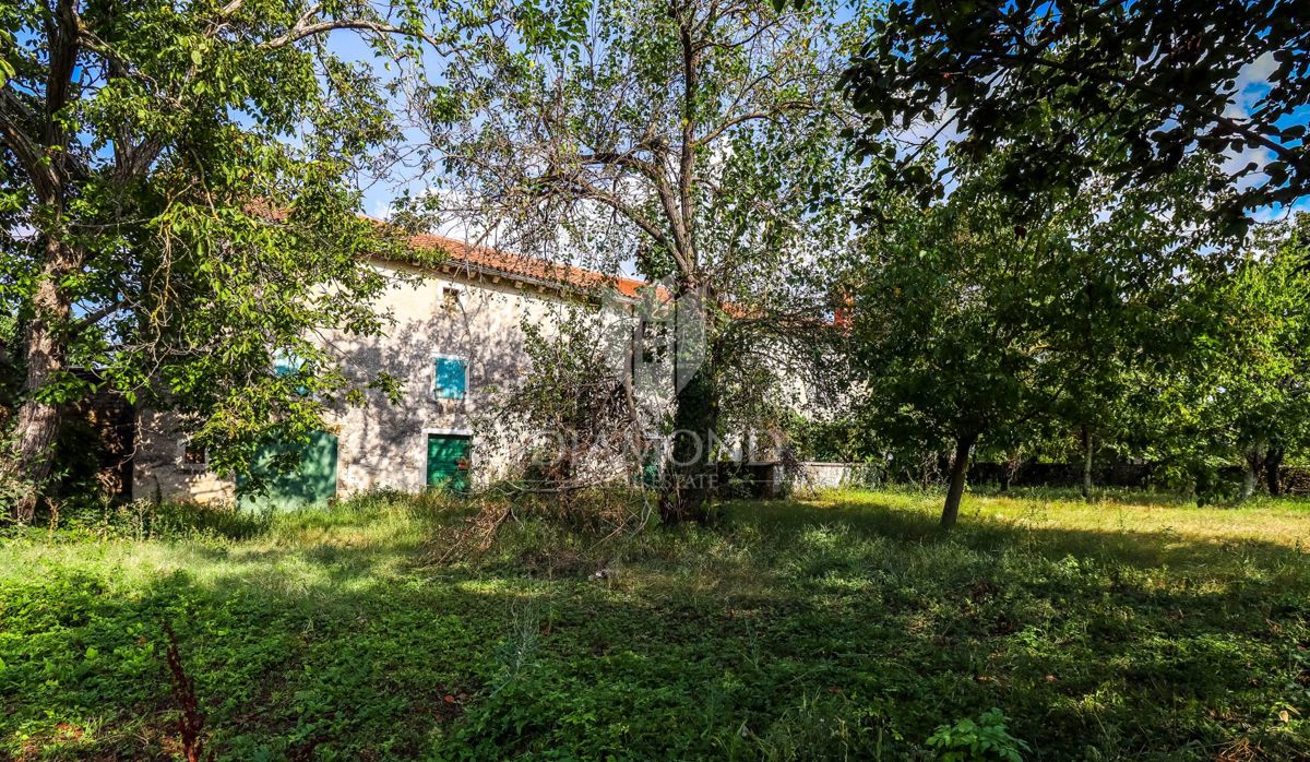 SVETVINČENAT