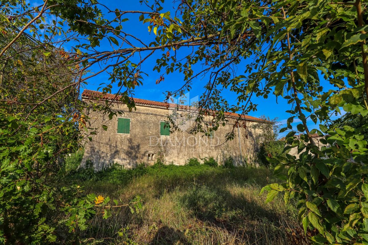 SVETVINČENAT