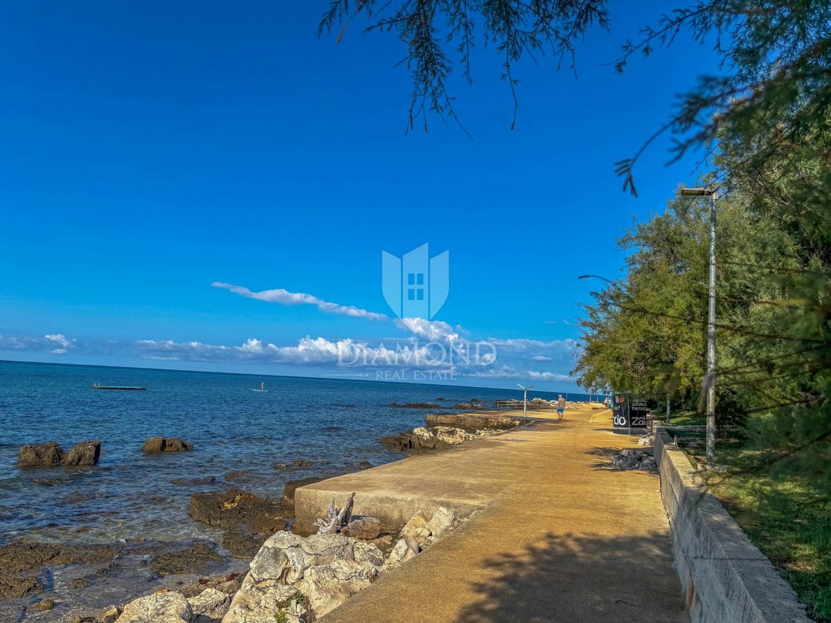 UMAG