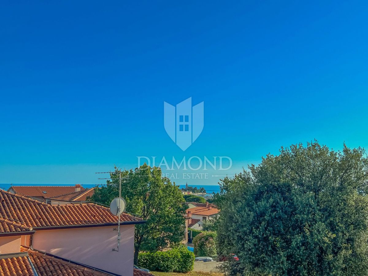 NOVIGRAD