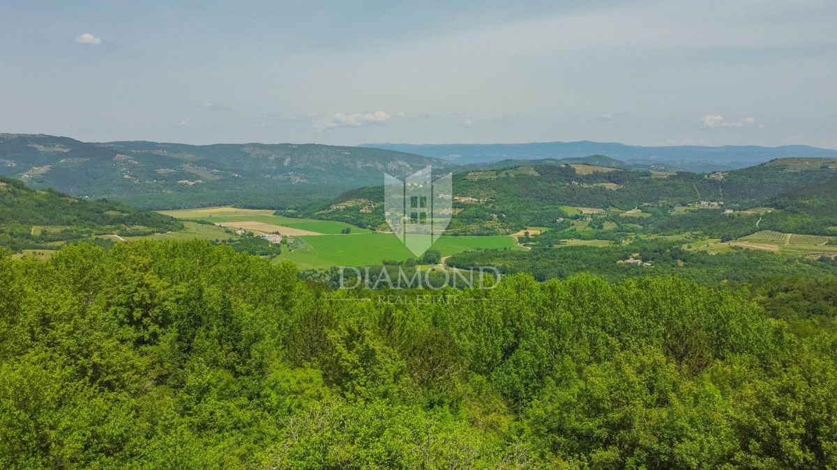 MOTOVUN
