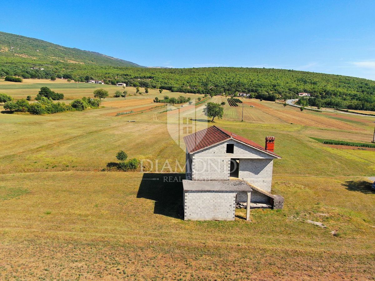 BOLJUNSKO POLJE