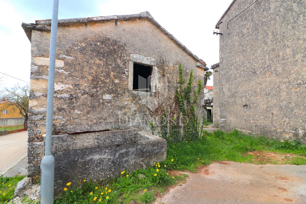 ŽMINJ