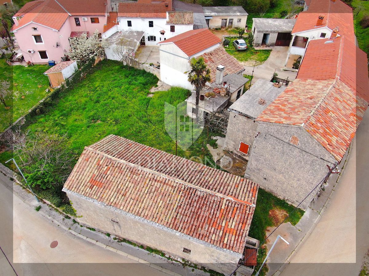 ŽMINJ