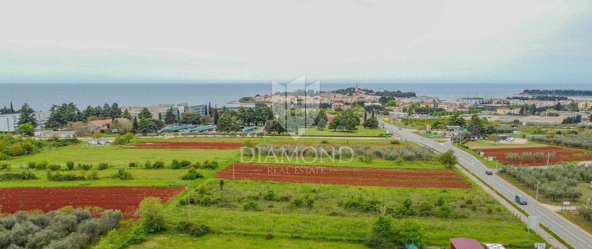 NOVIGRAD