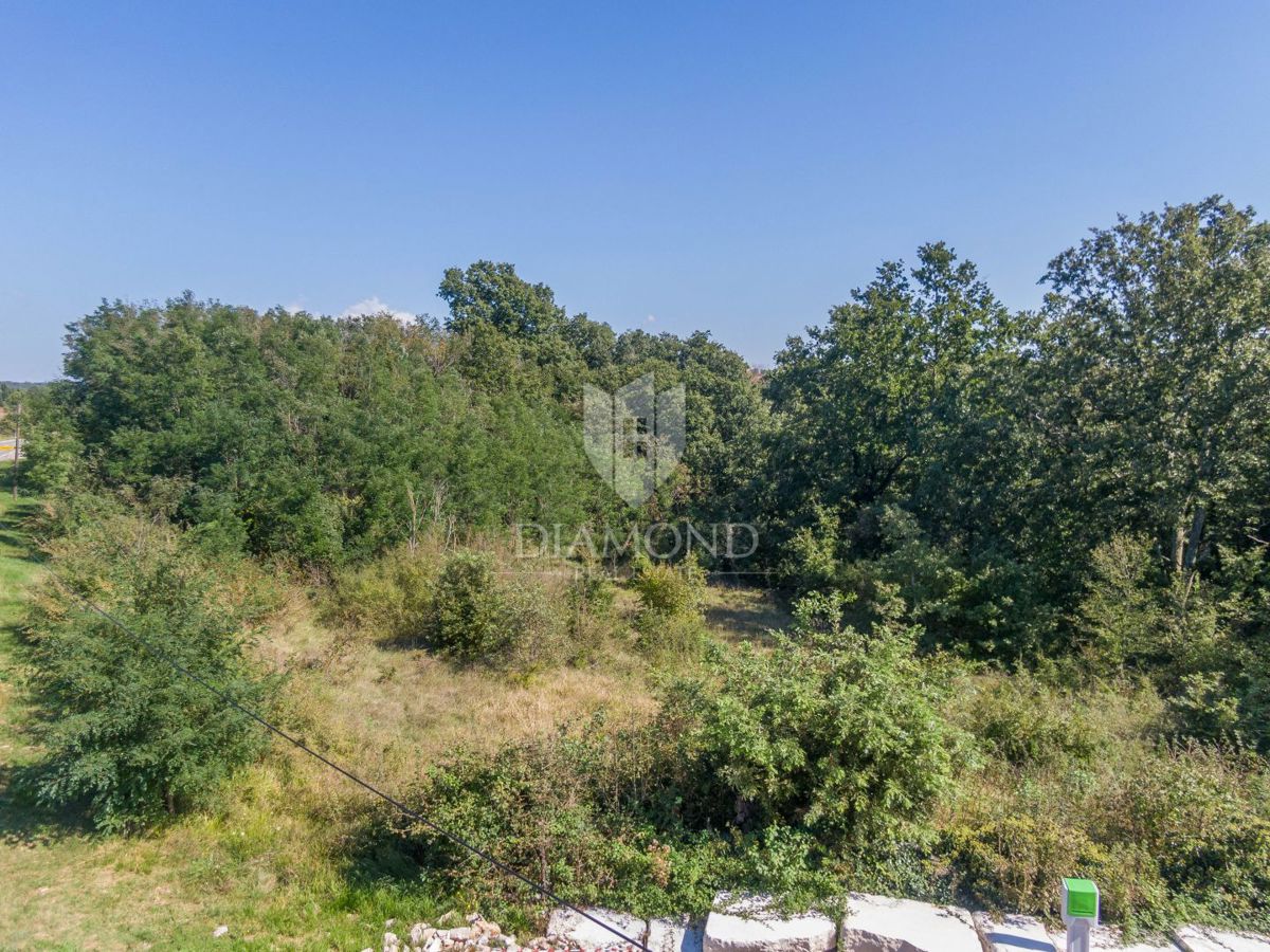 ŽMINJ