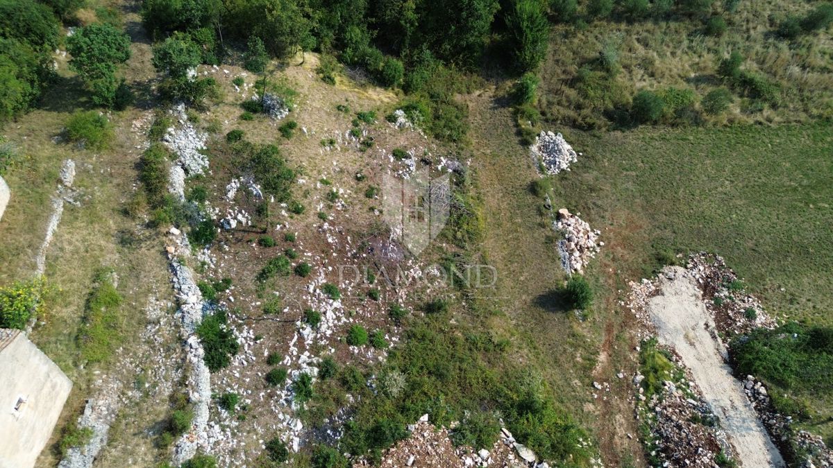BRSEČ