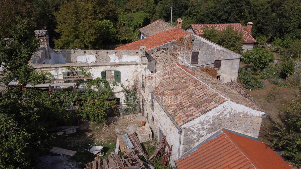BUZET