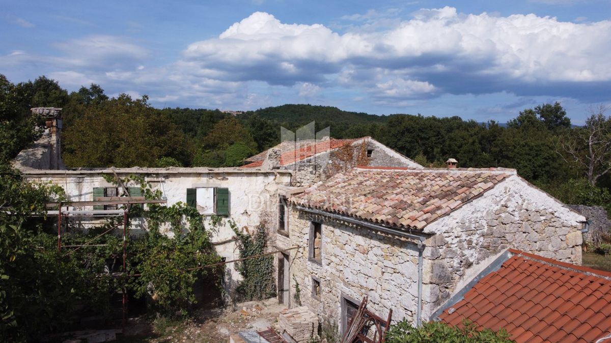 BUZET