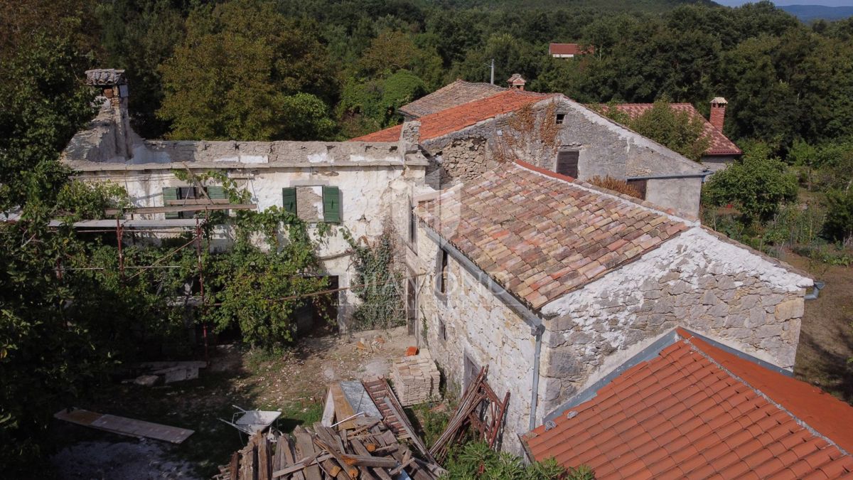 BUZET