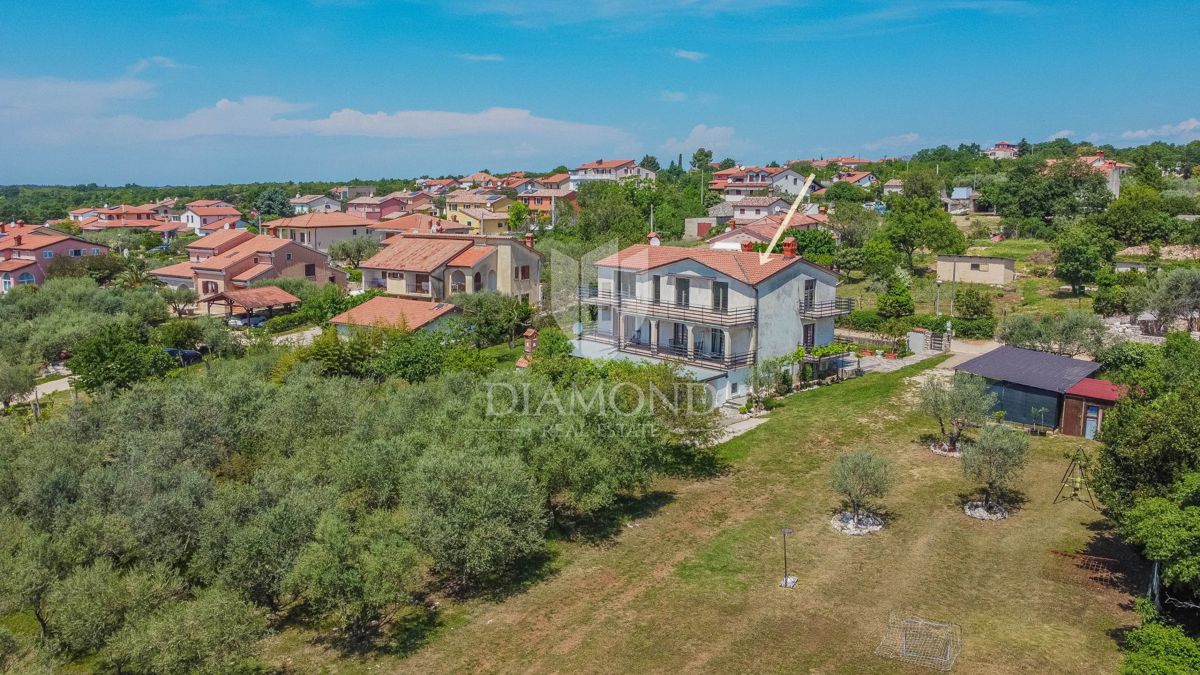 UMAG