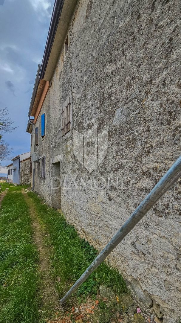 PERUŠKI