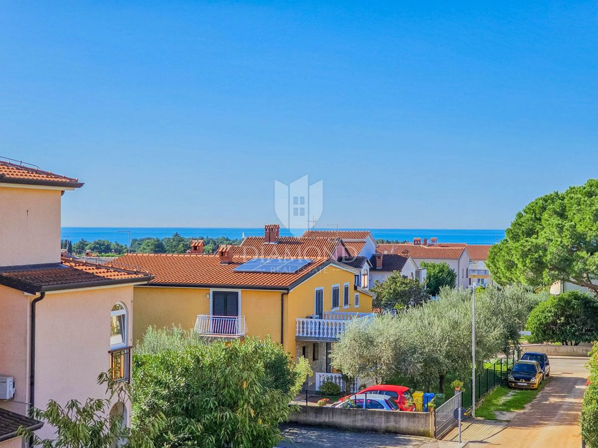NOVIGRAD