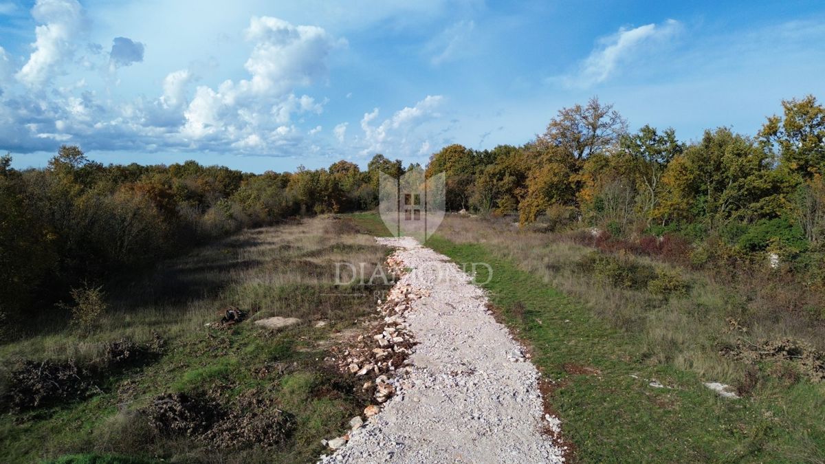 SVETVINČENAT