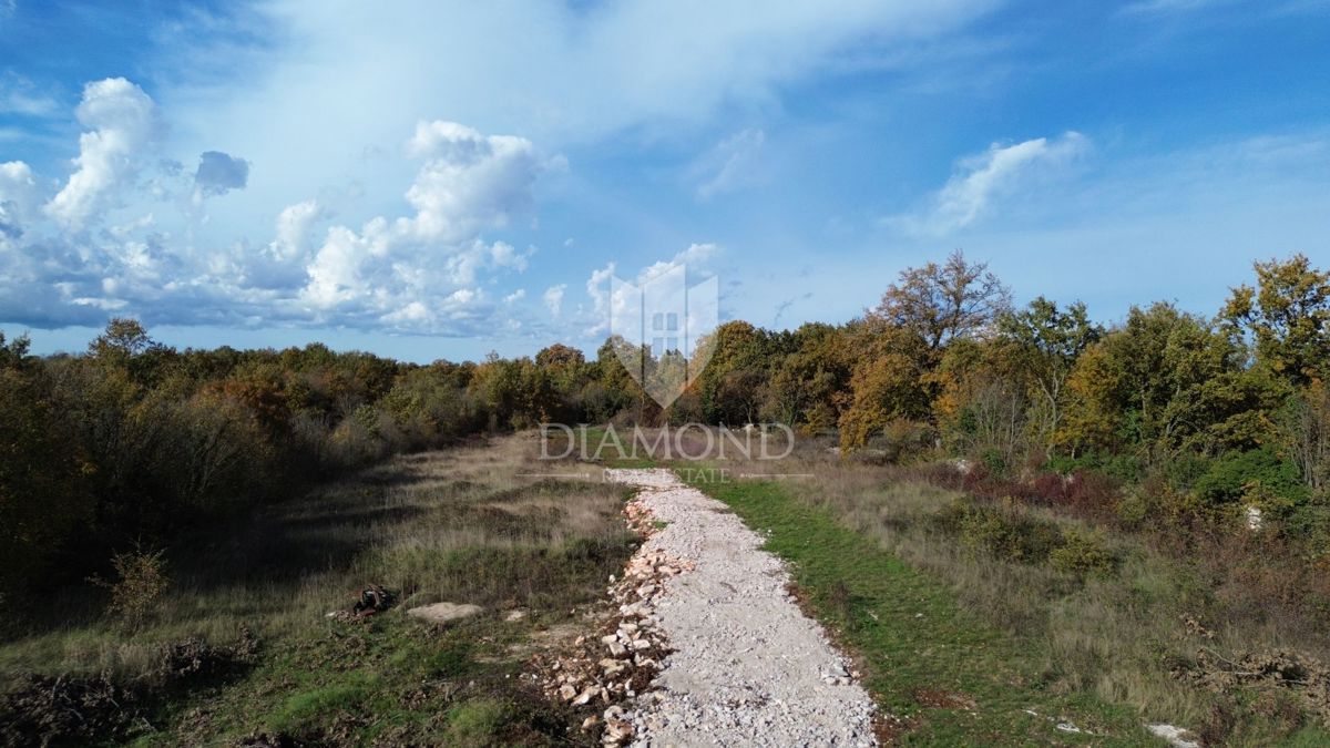 SVETVINČENAT