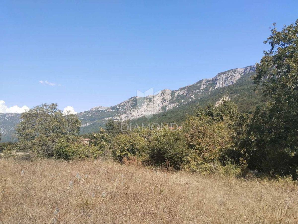 LABIN