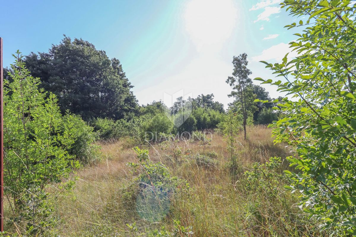 KANFANAR