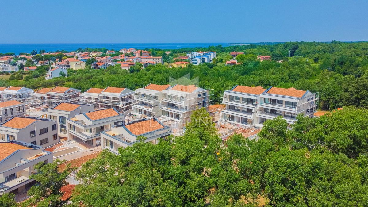 NOVIGRAD