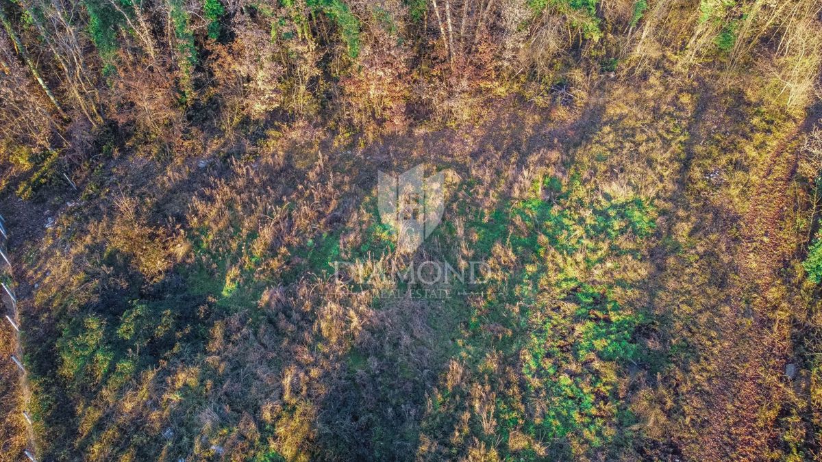 Terreno UMAG, 173.000 €