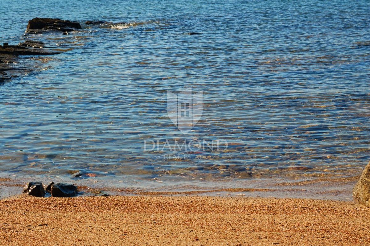 UMAG