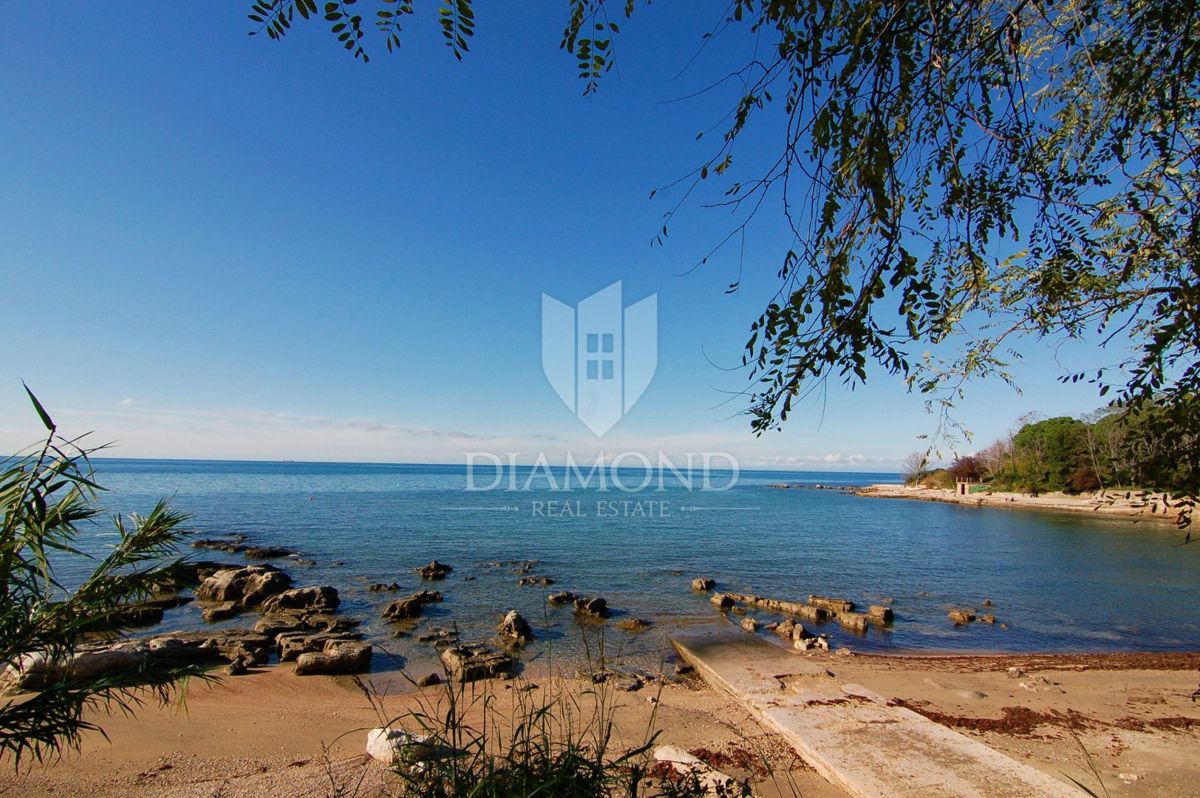UMAG
