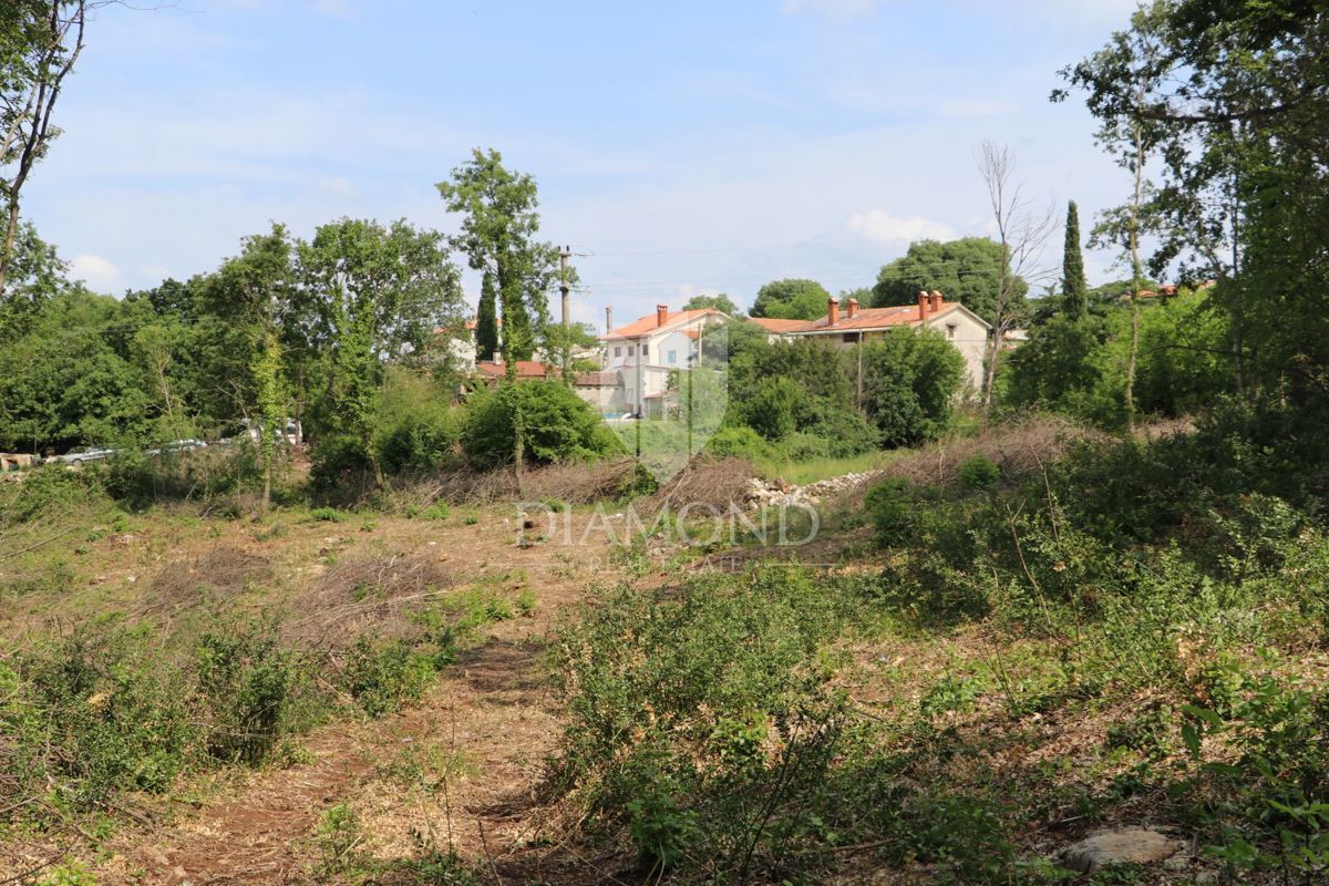 KRIŽANCI