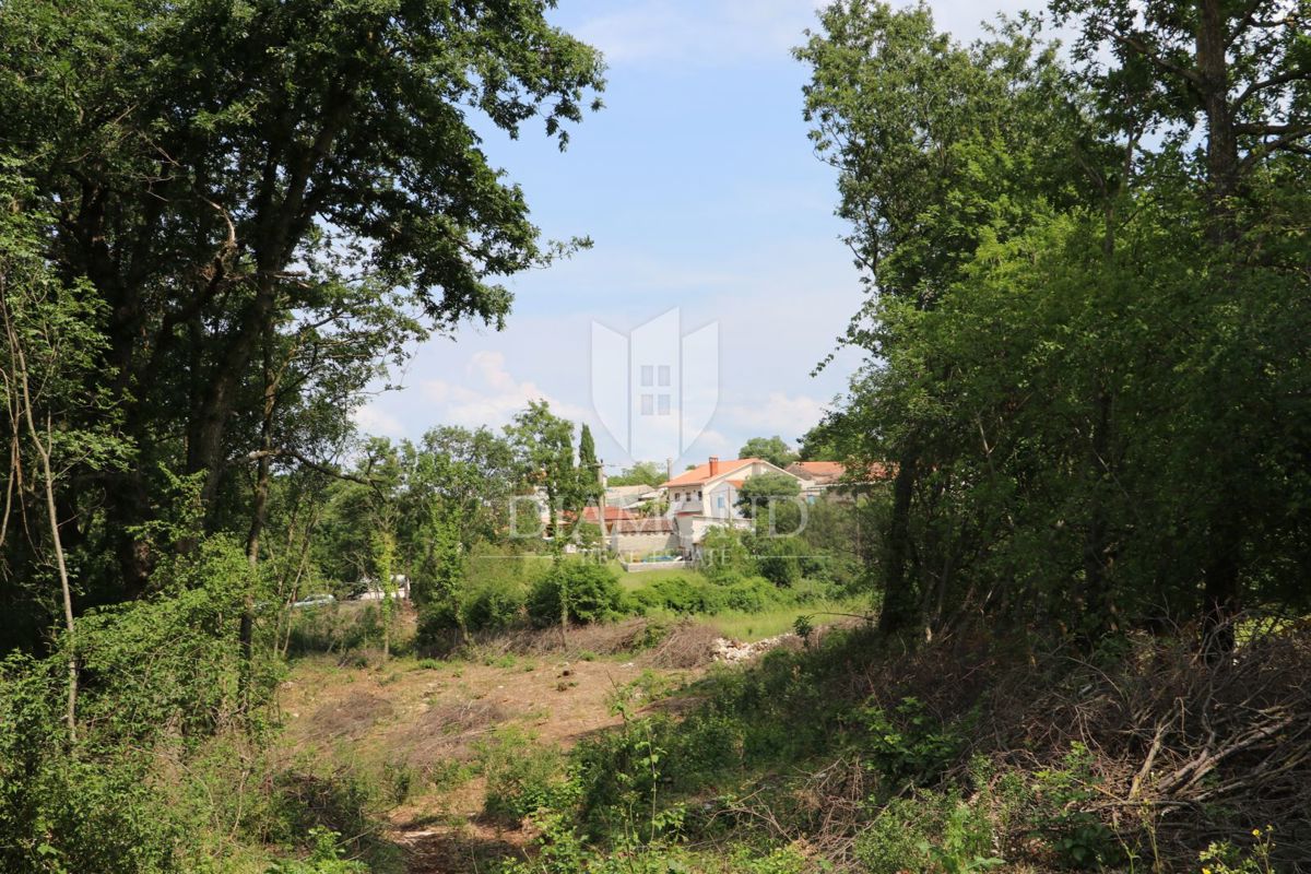 KRIŽANCI