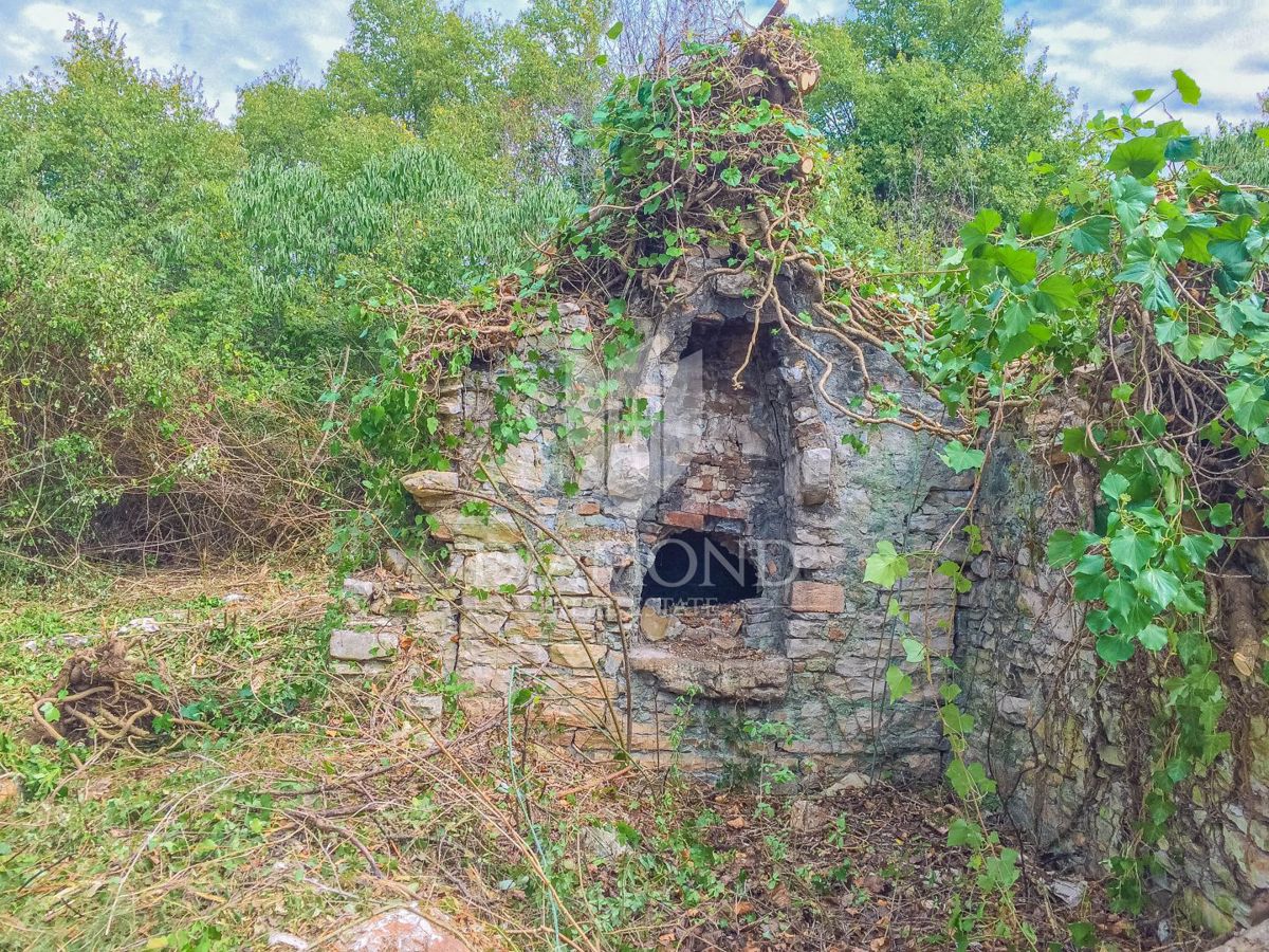 SAVUDRIJA