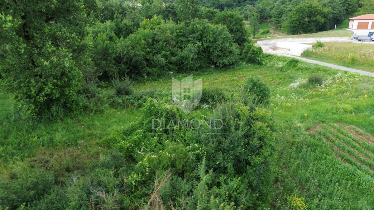 PIĆAN
