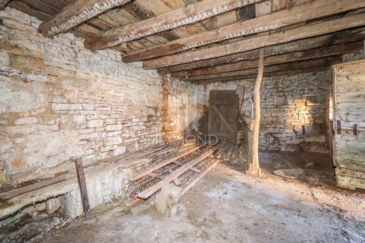 SVETI PETAR U ŠUMI