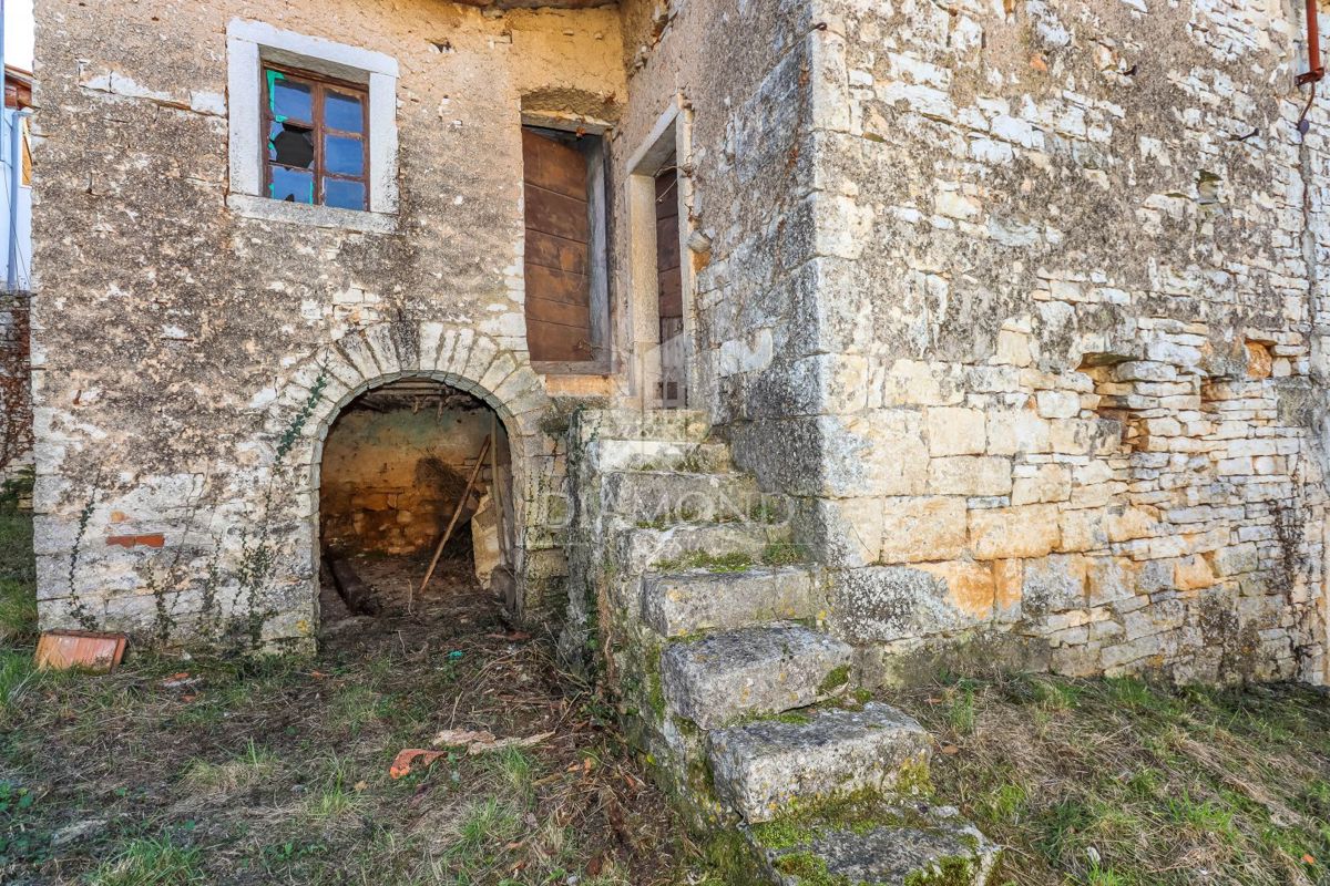 SVETI PETAR U ŠUMI
