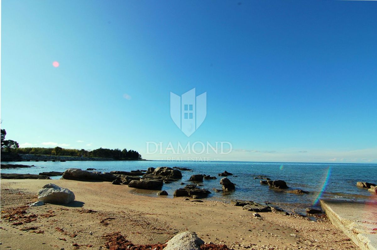 UMAG